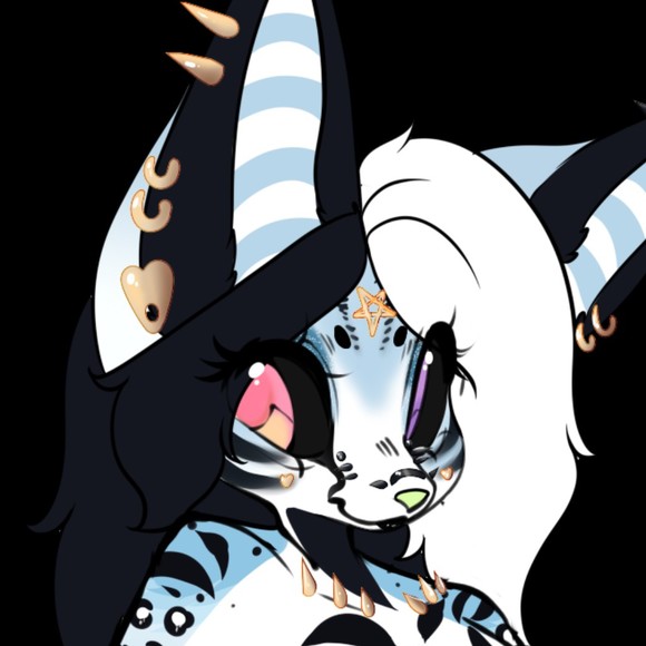 Meet your Posher, Momo - Picture 1 of 1